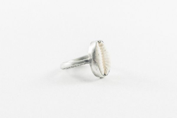Anillo shell
