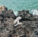 Pulsera cola de ballena baño en plata modelo Alisha